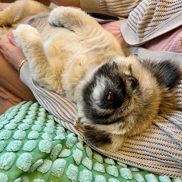 4536d1d2 b17f 458f 9560 92f6ced9cfa3 1760146818307