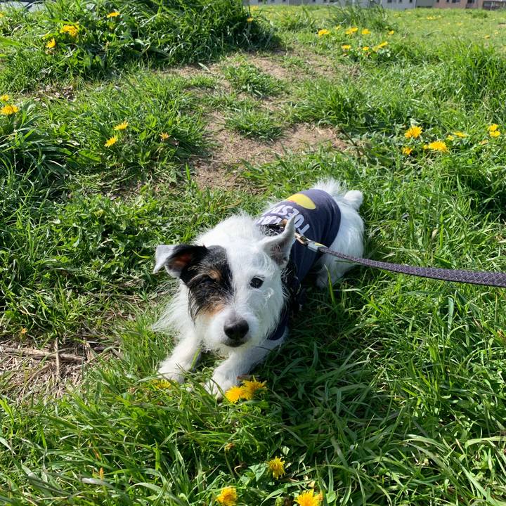 4536facc 4e82 4fee 8e95 40e7bf7c87bc 1681172399936