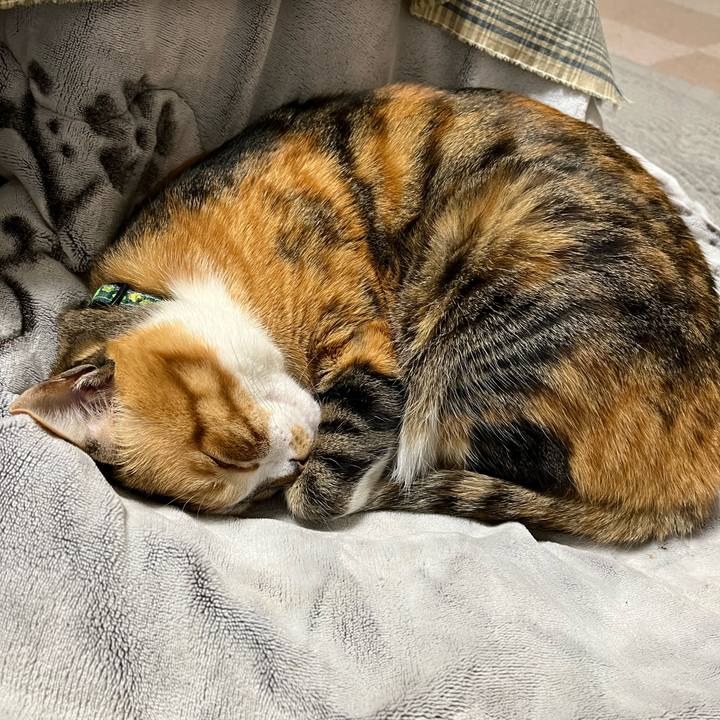 45372e0b 8e62 4019 95b5 32c22e2a1a39 1744209990643