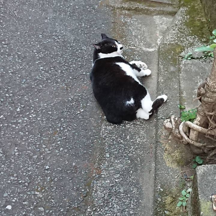 453749fa 9054 4369 a352 83ee9b0d8e8b 1598521181346