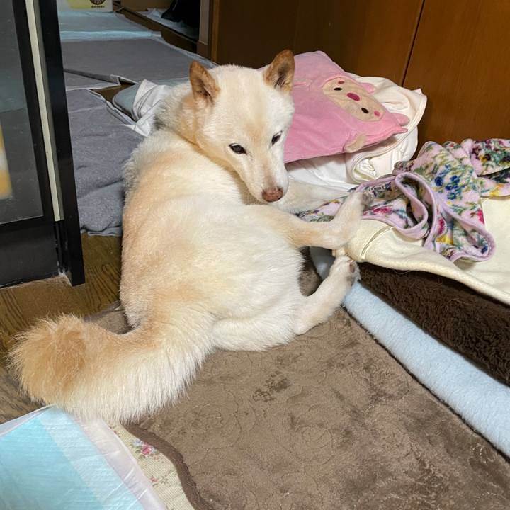 4537ba3c a727 432c b293 95977f8b1161 1635603425800