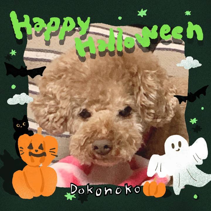 4537d704 86d9 40ea 8125 98db1fb49aaf 1729117563658