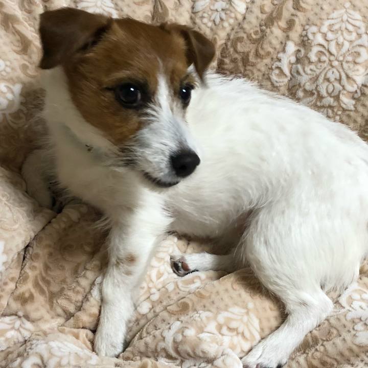 45382bb8 cec5 407a 9c57 29ab8d9925a4 1521618199564