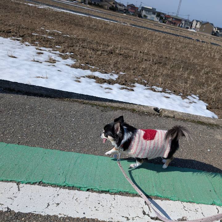 453836dc b148 4128 9fa4 127e8303917c 1771041864034