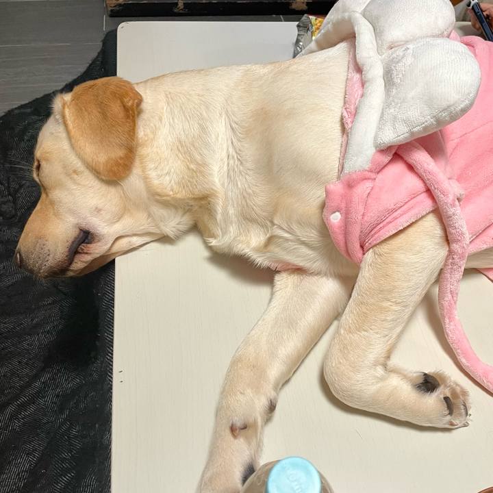 4538d514 824b 4090 bec2 888364a35dc8 1644658804554