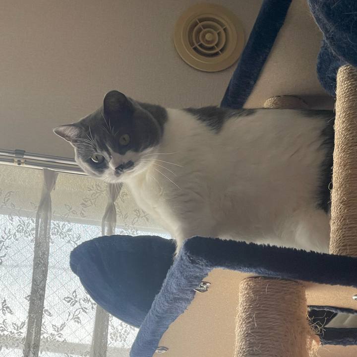 4538e0ff f577 4f87 a2d4 ca4b3279cbb6 1700096191902