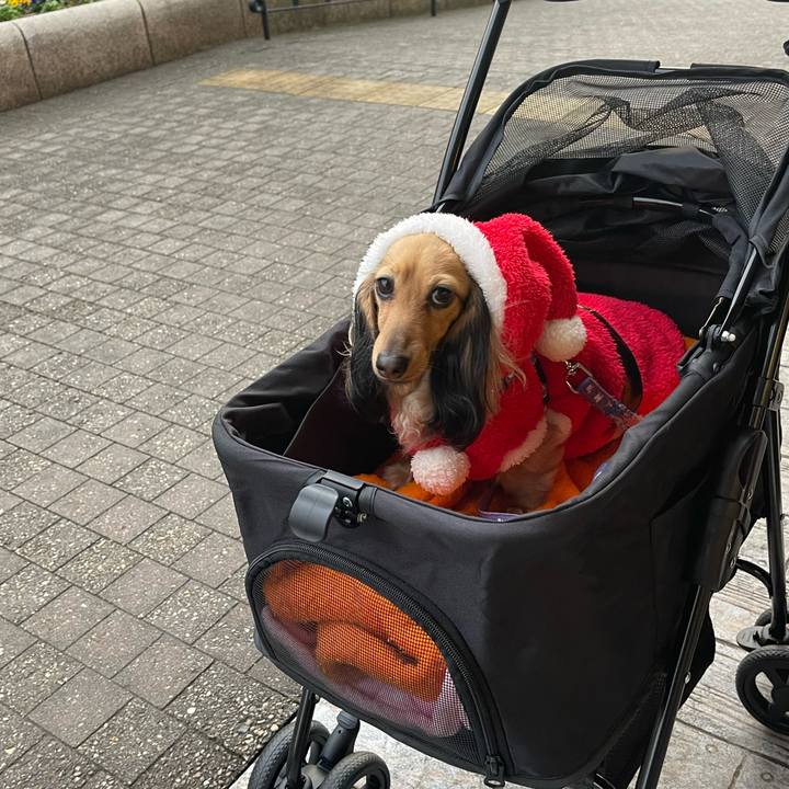 453916f5 2fb5 43f4 bf0f be07b8f86bc7 1703393459416