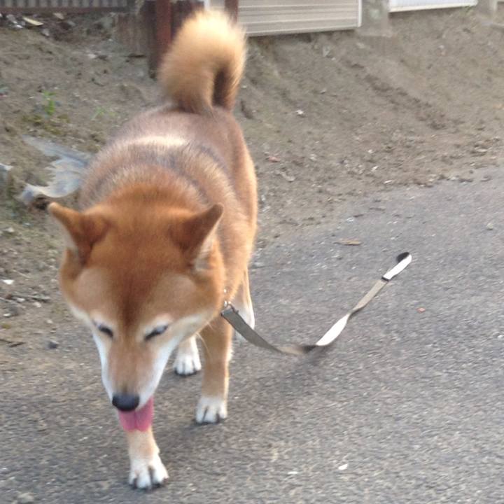 45395387 9864 42bd b5d3 858cb8bc5348 1530524372283