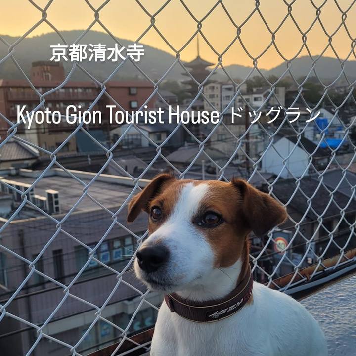 45396668 098e 4ef0 8960 8dd4eb3a6d9d 1668117400013