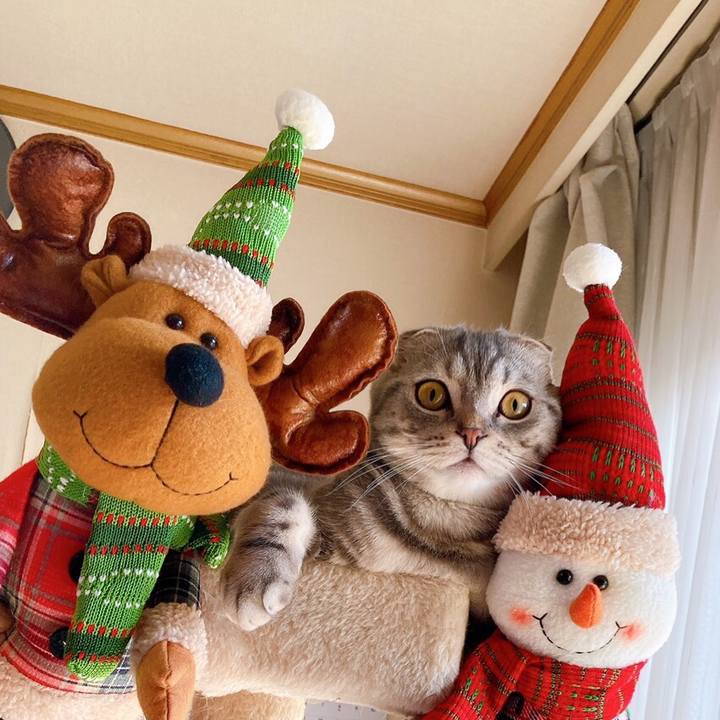 453971e4 e47d 47a4 8cf1 13499ffd790f 1608684273852