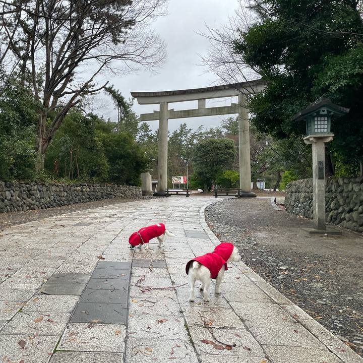 453980e2 522d 45db aade 1031c4dde3c1 1671057806849