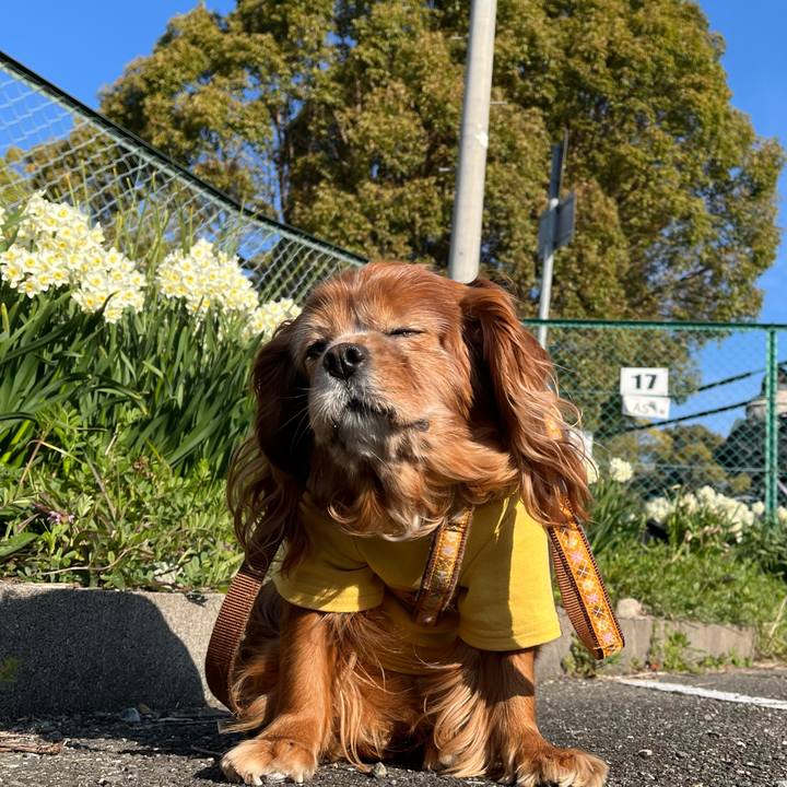 45398958 75ef 44a7 a053 2c482b00cf8a 1773622366383