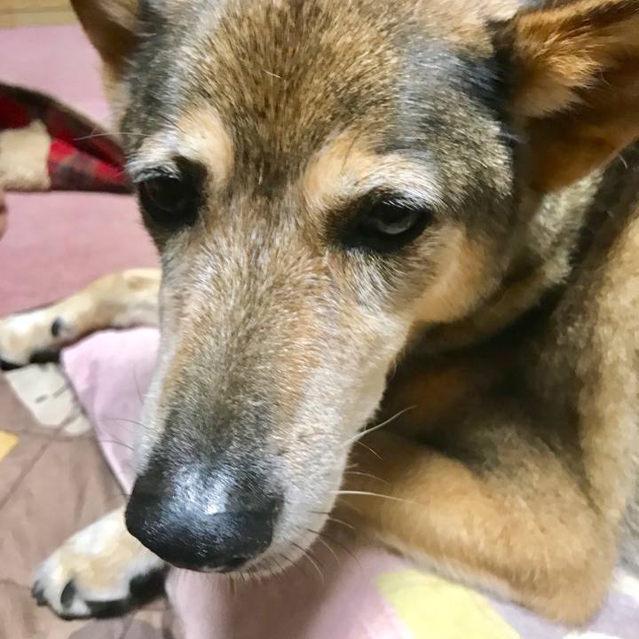 45398aa0 7ab1 44e2 b747 4f83eb3ec542 1535202508502