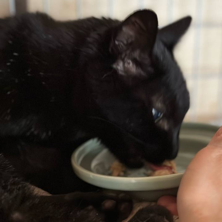 453999ea 8c14 43c2 8b1b 48e817ddb9b4 1686794419090