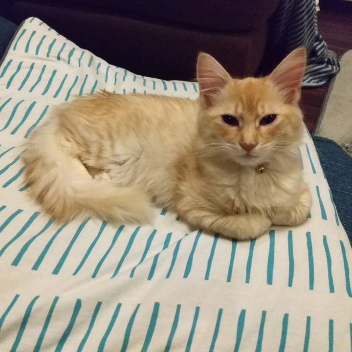 45399c4c a996 4846 8ad7 6c8fd6a3347f 1608848649859