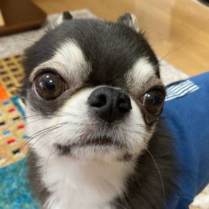 453a1d51 216b 4213 a9e6 6620fa6918c2 1682142417151