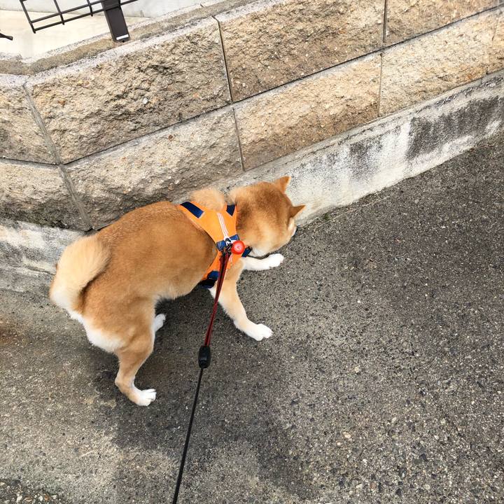 453a2cfa cf7c 456a 95b9 35d5dc9f992d 1583239964919