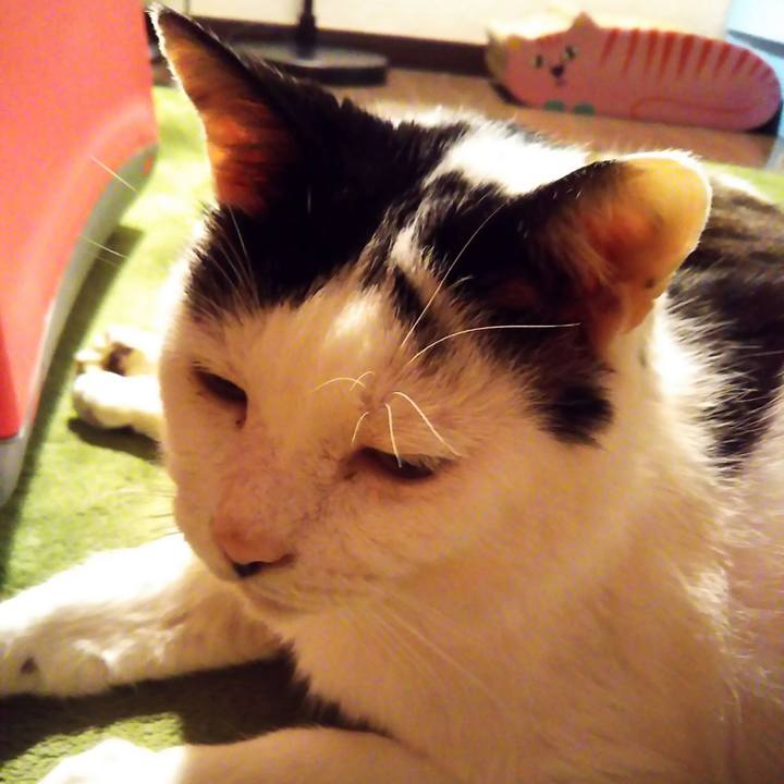 453a53cd 5e07 4039 81e2 9f42820ed52f 1573212225354