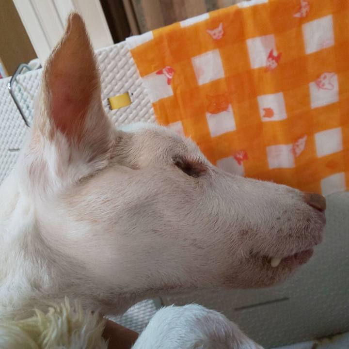 453a5ee7 8458 47de aad3 4fb59b7ca1a9 1615380044430