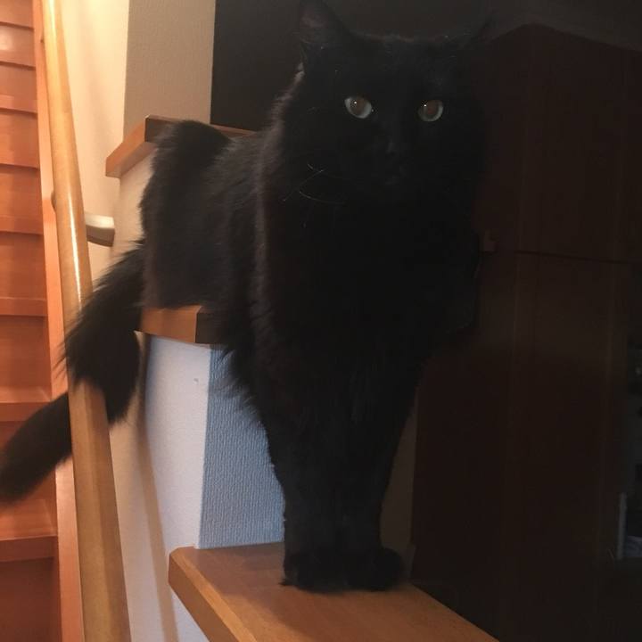 453a7df4 65d6 4fd8 8780 98e146eb4b3a 1522420327199