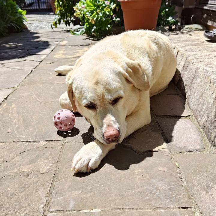 453ac8bc 2c2c 4284 aa3a d16292cfb423 1744689096072