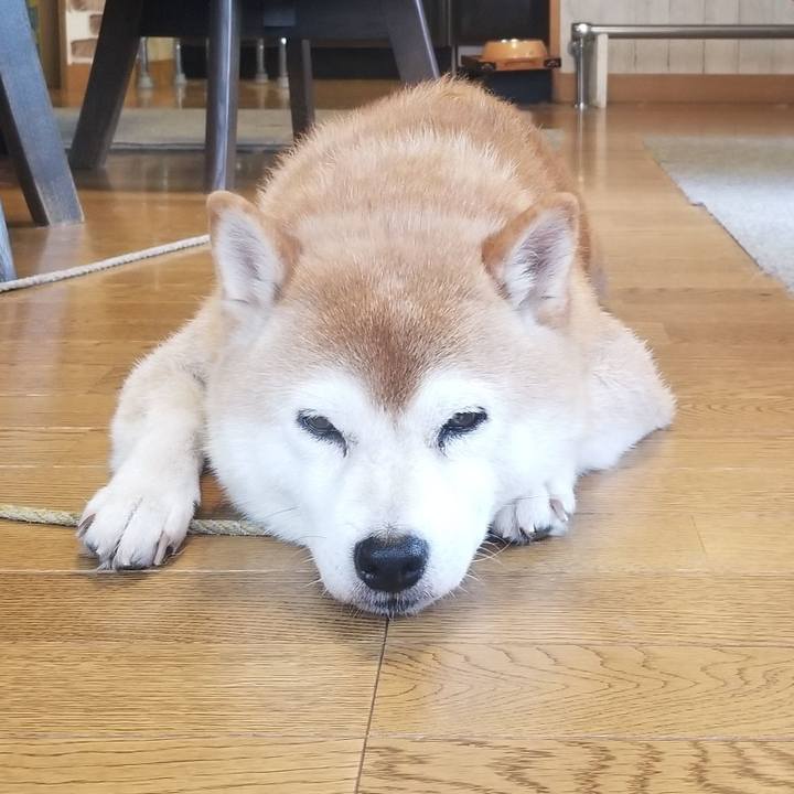 453ad507 f63e 4130 b3a7 4d9d5d3f4b56 1627719350718