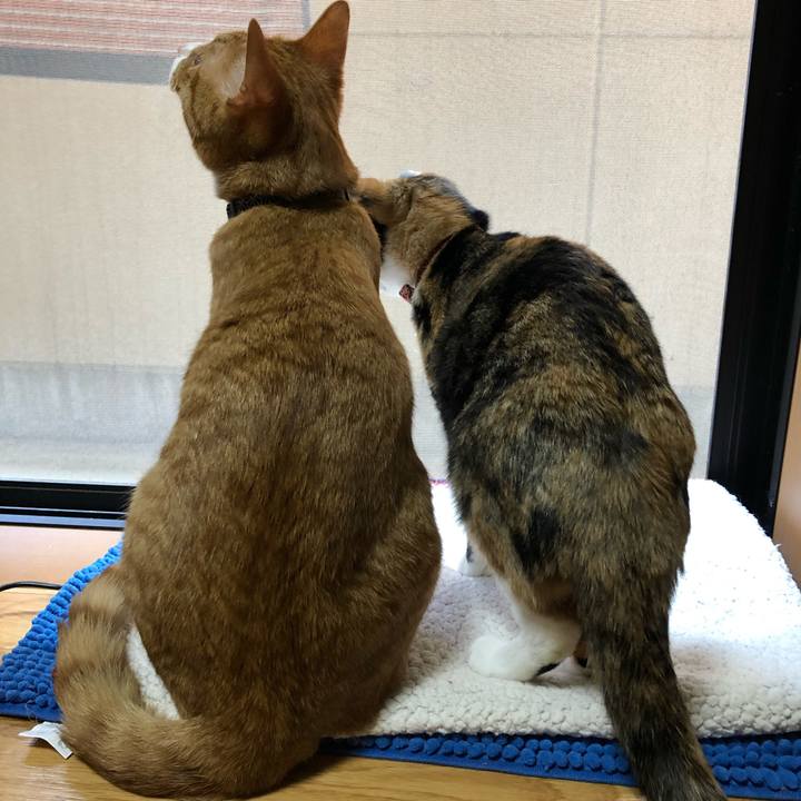 453afbe3 3591 4798 950f 02a3d3dcccee 1556360372971