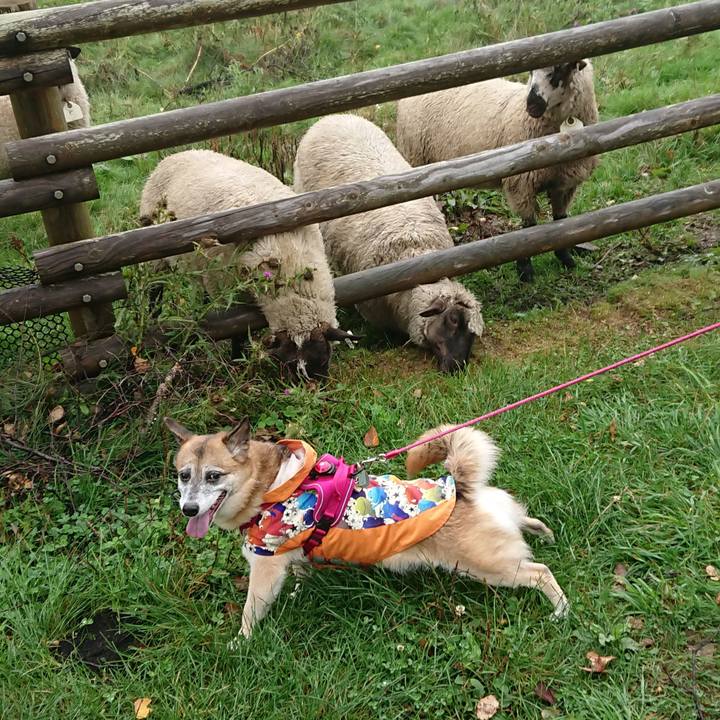 453b4be0 f61b 4eec a909 a4b6b359616f 1537282721097