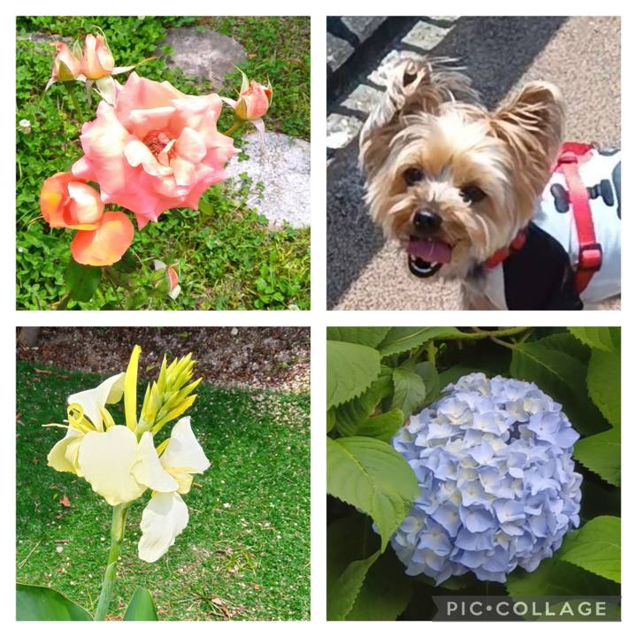 453b62f2 1287 47f2 9a37 dd0588a1de82 1717327949446