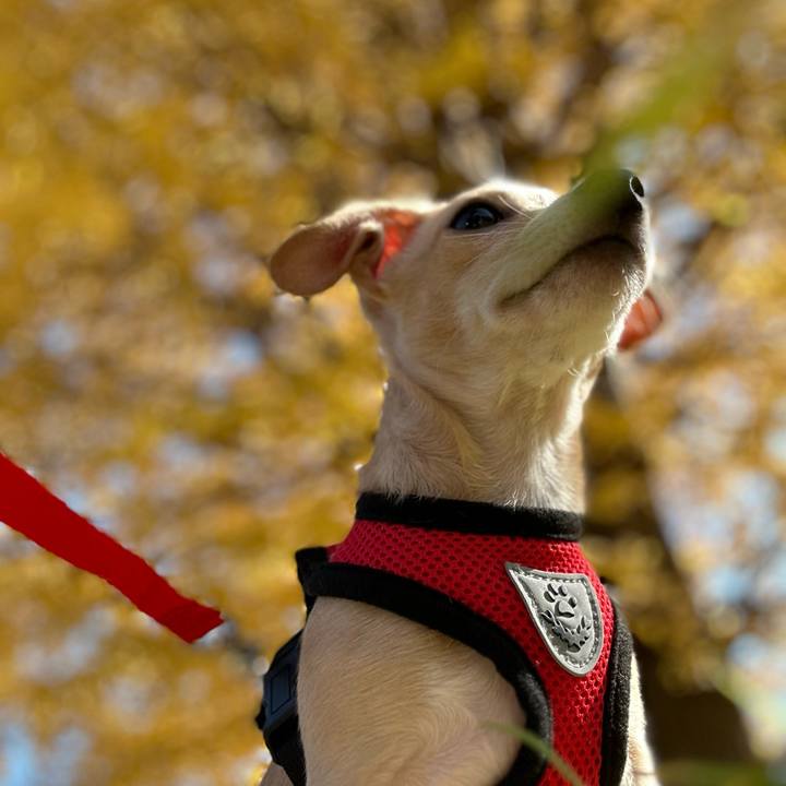 453bddad d844 41a3 8436 ee3a2e8c3f6a 1668136961188