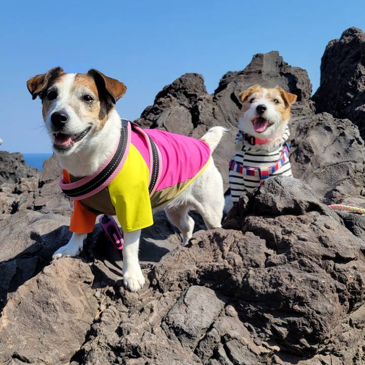 453be269 cfc0 4a86 b414 c4cf6235be8d 1742709106067