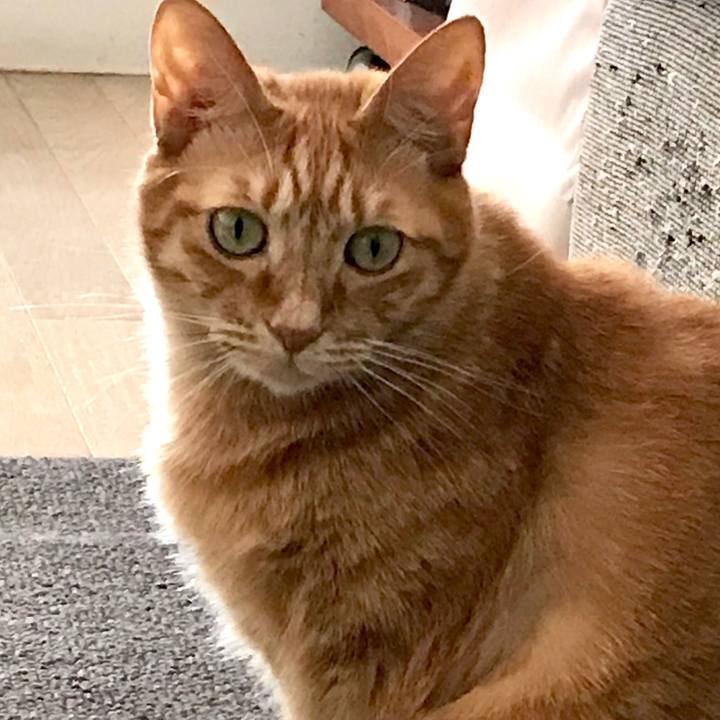 453bfab9 41d0 4aba b043 cf75d4752b85 1550815377477