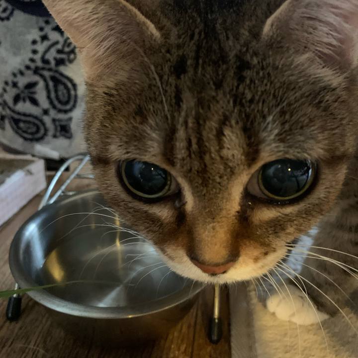 453bfba1 ea11 4852 b78e fa727ade4cb5 1681342733352