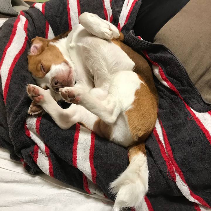 453c5a18 bc83 4e5f 8775 ff59fca85415 1521985086289