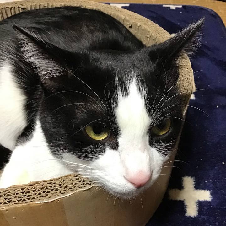 453c87b8 fcdd 43c2 8cd5 1e85041b5619 1739006419951