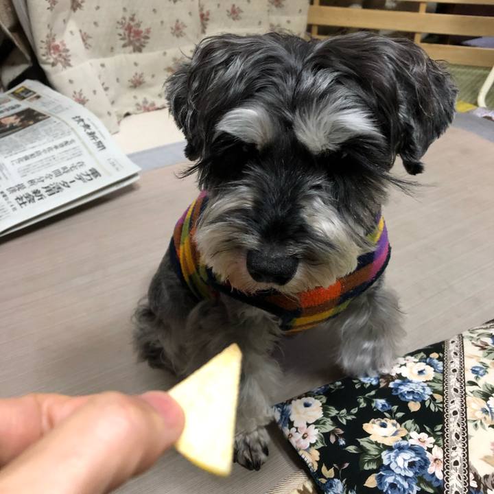 453c8d75 966d 4065 bfa1 4dec0720af91 1643025522309