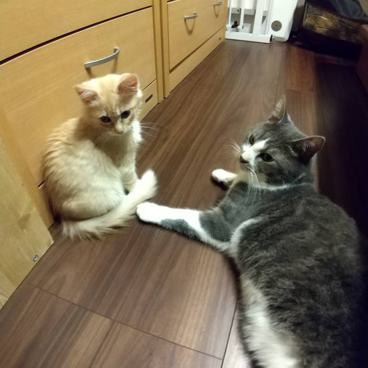 453c9e19 f1cb 4d35 9c94 73080c494d2d 1605867139677