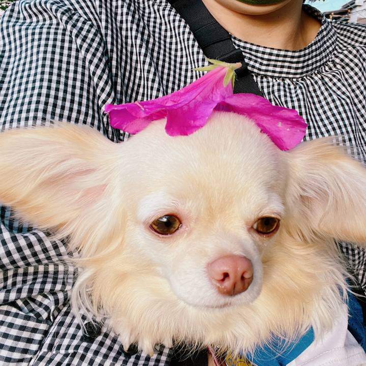 453cb421 f8ff 4c16 a2c3 d7c013a935dc 1651309212629