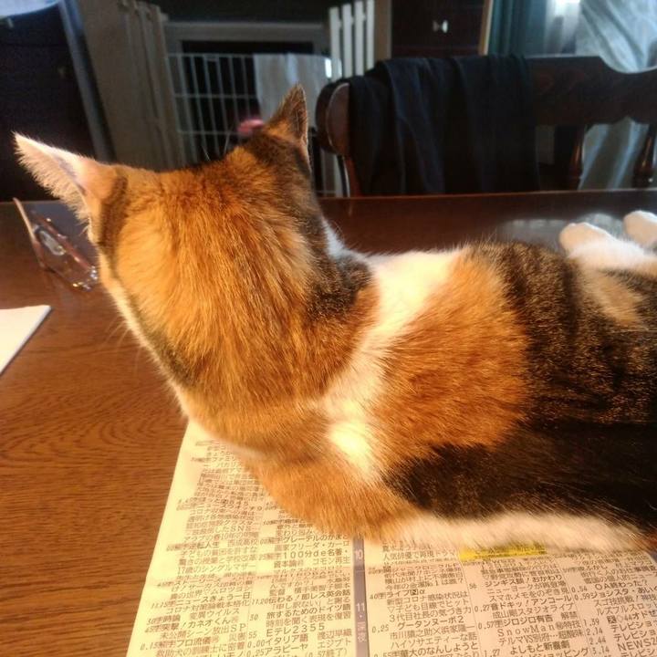 453cb481 747d 430f 825c daeb5500e5fb 1611551571603