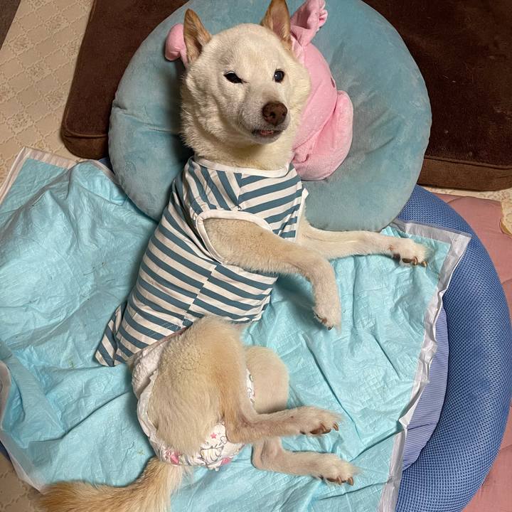 453cc05f 44c8 4797 8643 b195b4ce23da 1666618676674