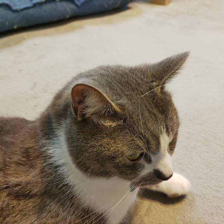 453cc34c 4126 48b4 a2c2 ebacc9826ce4 1683365373655