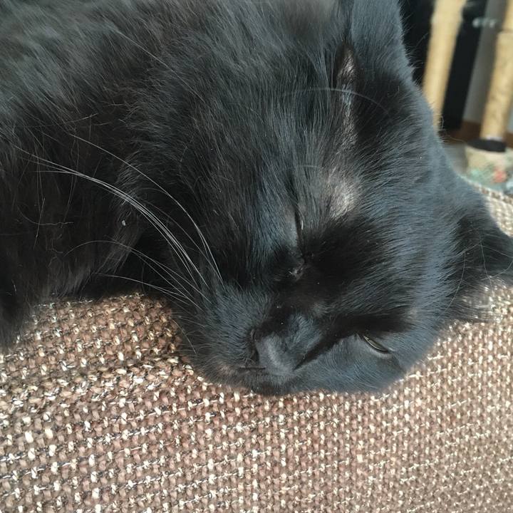 453cec7f 87ba 40de b8dc 321cfeb9fb62 1516095290829