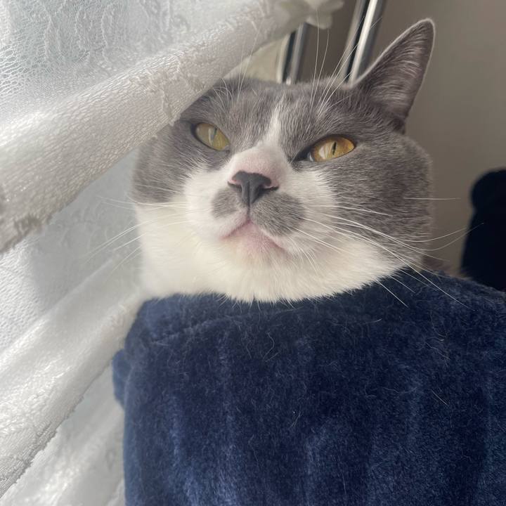 453cf073 1ed9 414e a2e5 113c55a5f48d 1699836747595