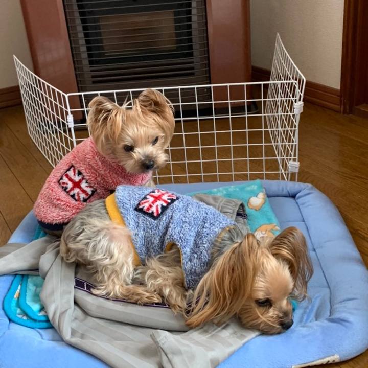 453d32ca 0aec 421f bc38 4d9658314d76 1613552792477