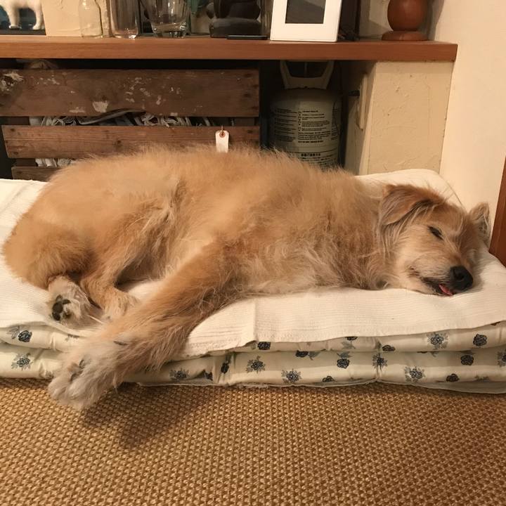 453d37a8 faa4 4529 8902 3e727bbbd3b6 1553136760156