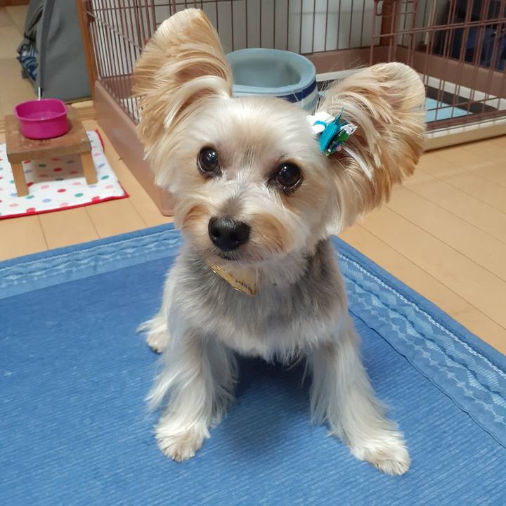 453d6743 00d2 4c85 9abc c9a8dae53a87 1665540799202