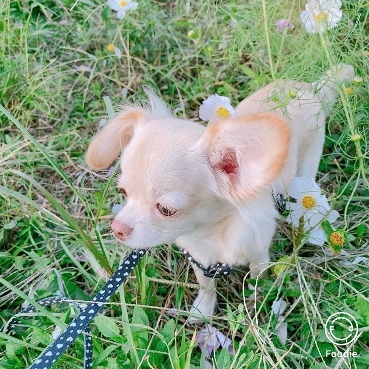 453d8552 f988 4413 b1ab 9496df542a4f 1602489736278