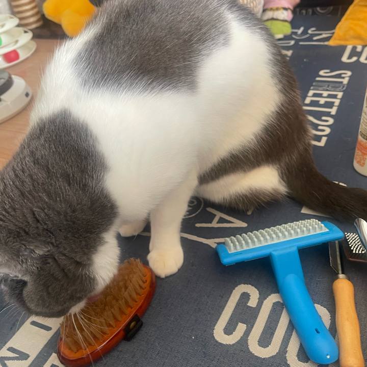 453d98c6 db96 4b4a 836e 77cd3f7054f0 1737258183713