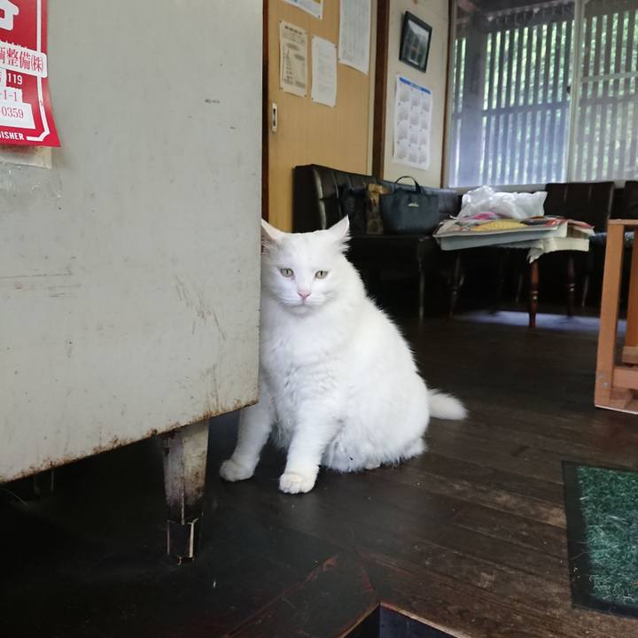 453db02a fa5d 4f34 81d4 0f9b2aba4f62 1568672928572