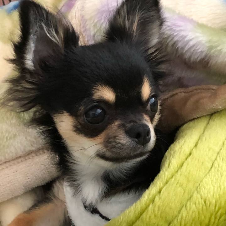 453db37c 8030 433d b369 61b5091d7c5d 1544317350874